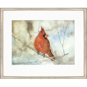 JL- CARDINAL 1